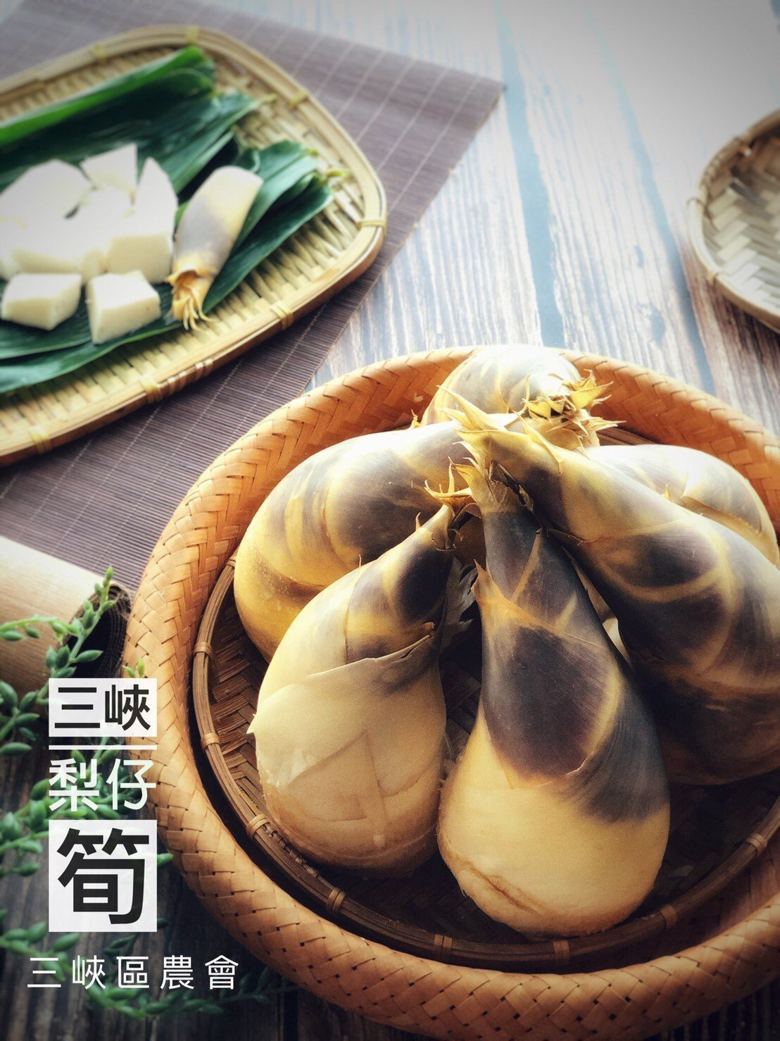 預購【06月11日(四)下午到貨】三峽農會 💮【梨仔筍 - 約 2.5 斤 / 包】需依實際重量計價