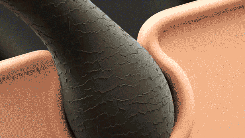 強韌蘊活洗髮精500ml_gif02