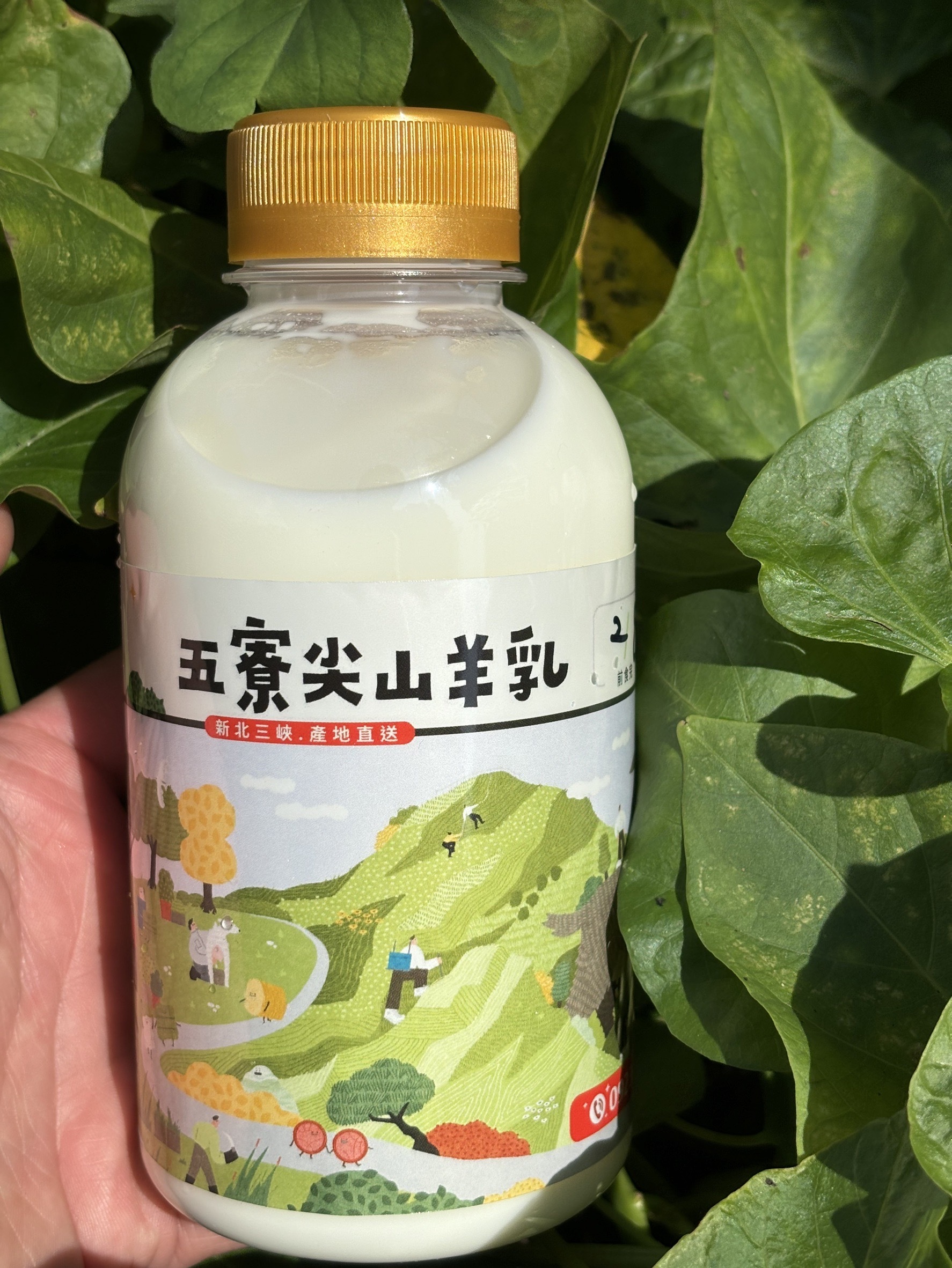 預購【03月09日(一)到貨】💮五寮尖山手擠山羊奶(單罐／小家庭)