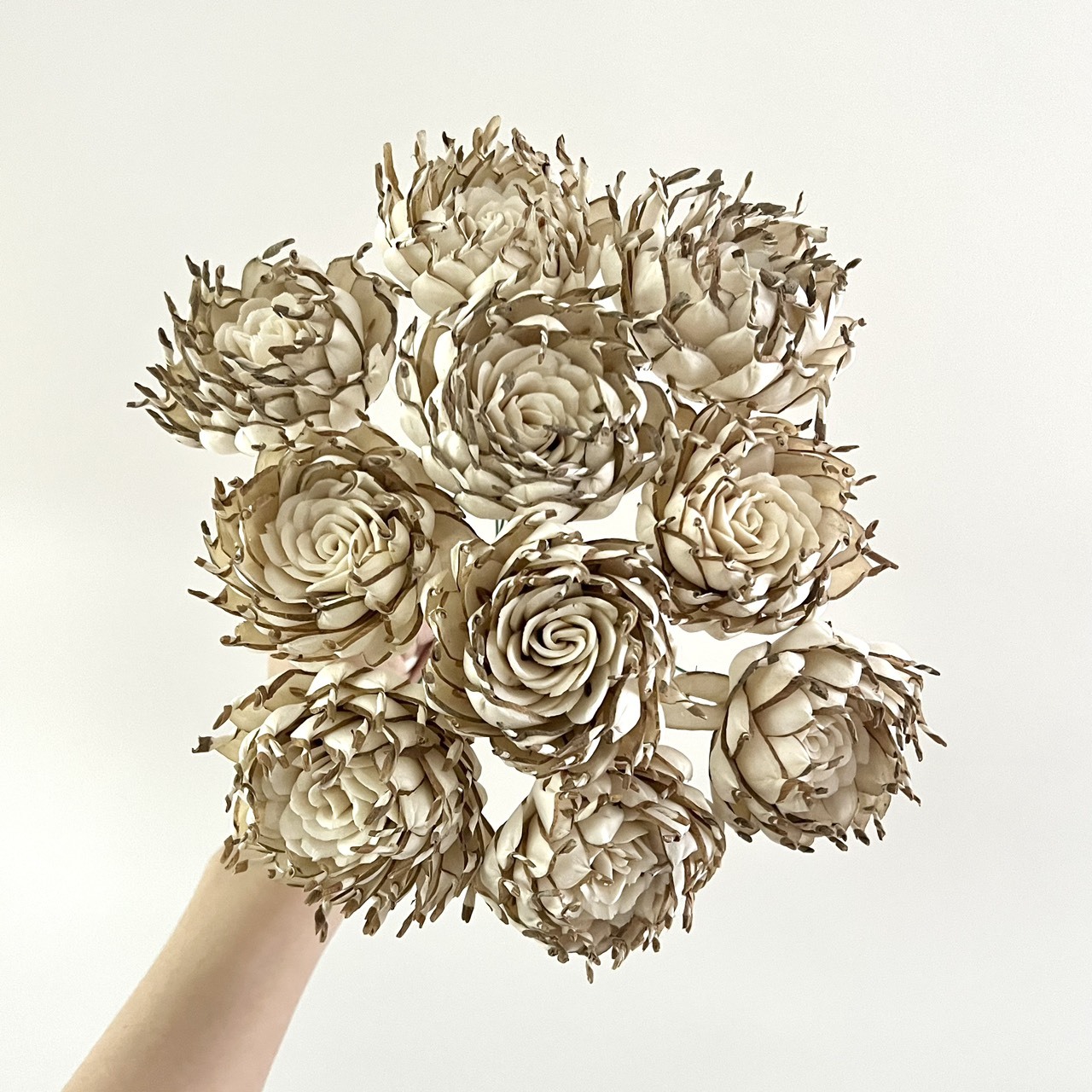 越南索拉花 火焰玫瑰 6CM <十支一把>