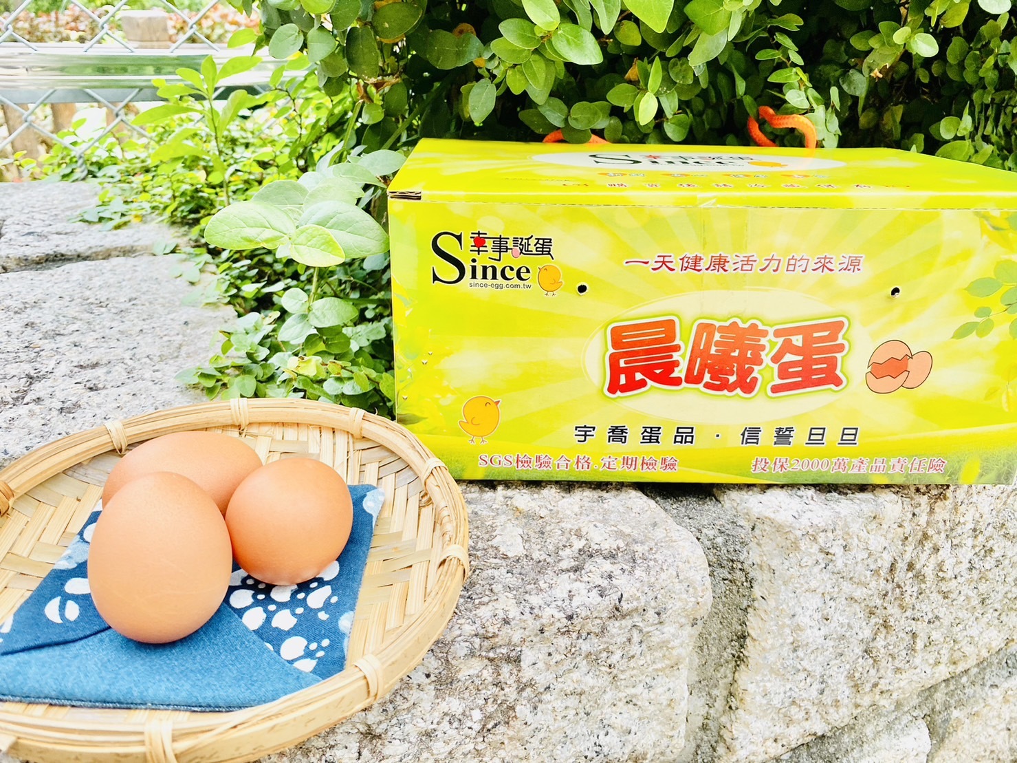 預購【03月10日(二)到貨】💮幸事蛋【4 台斤/盒】