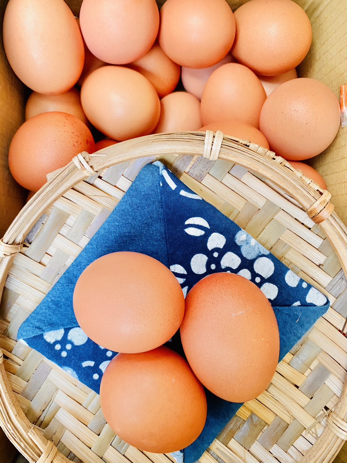 預購【03月10日(二)到貨】💮幸事蛋【4 台斤/盒】