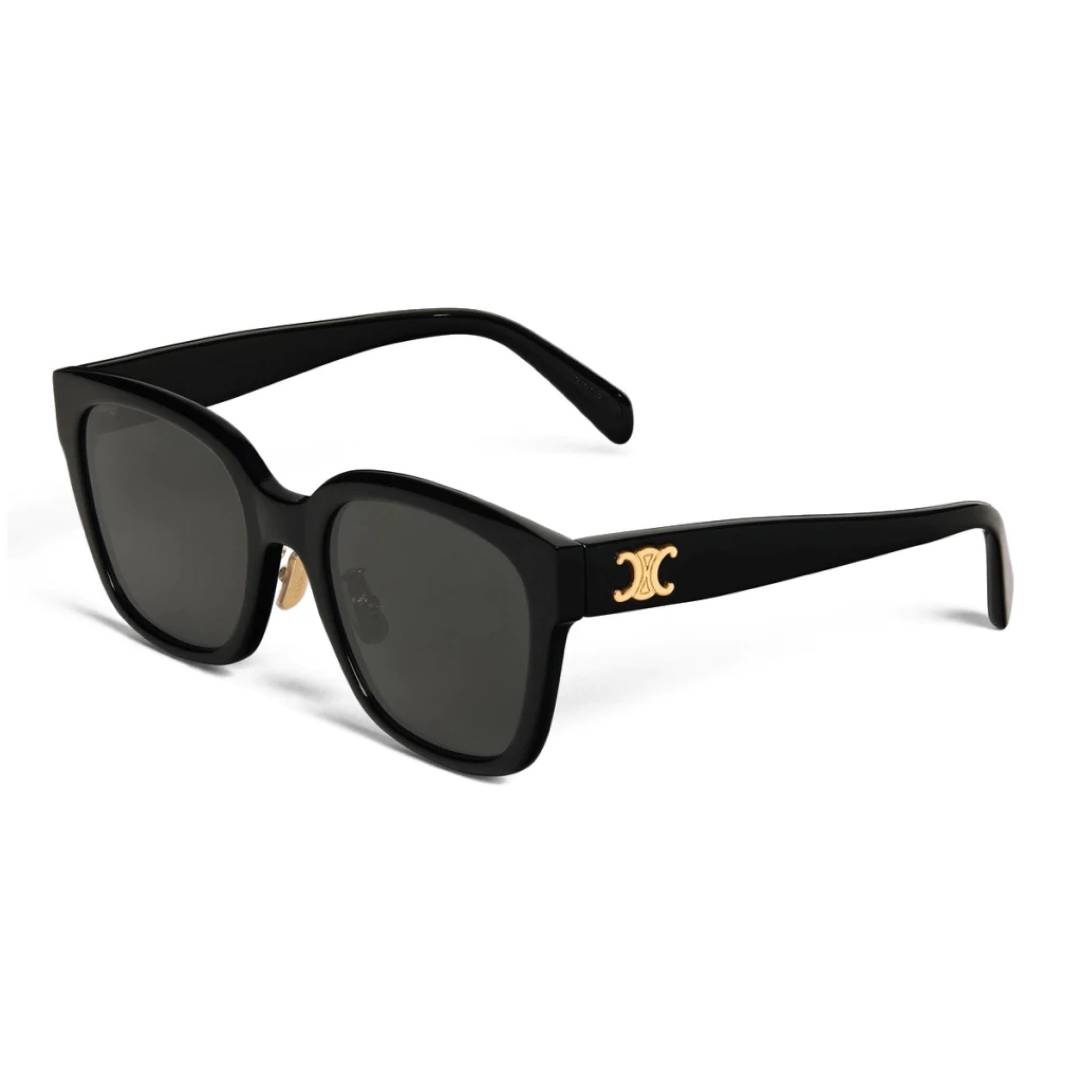 CELINE - CL40222F／01A