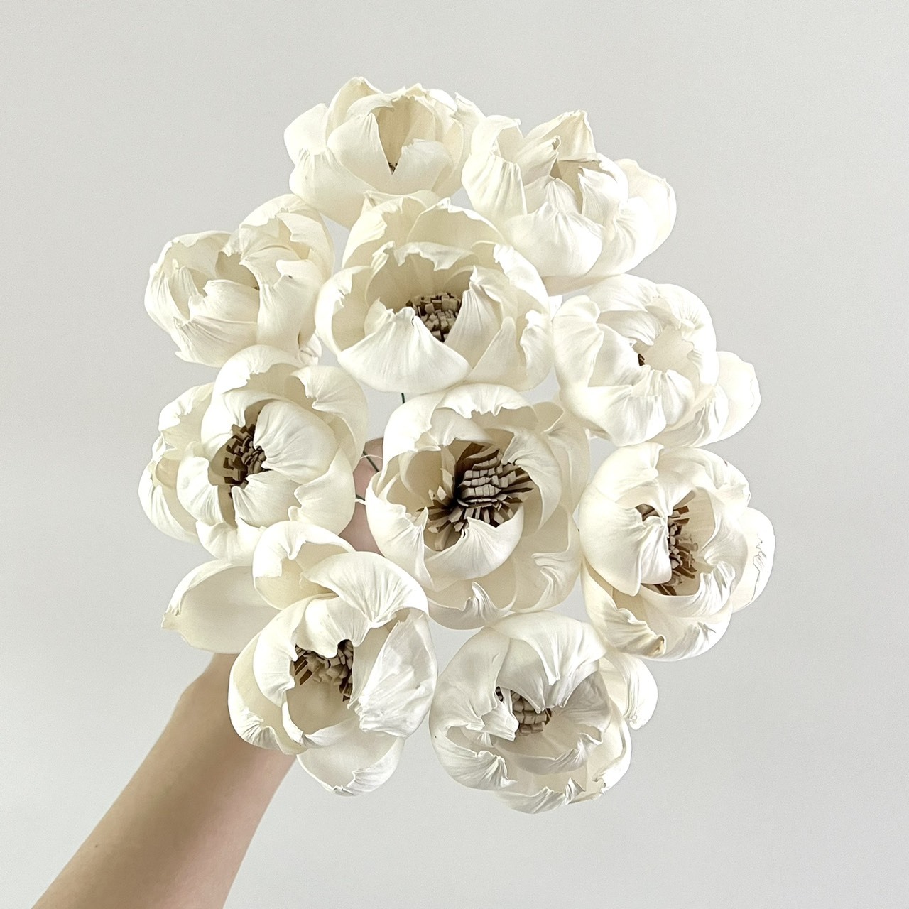 越南索拉花 牡丹(咖啡心) 6CM <十支一把>