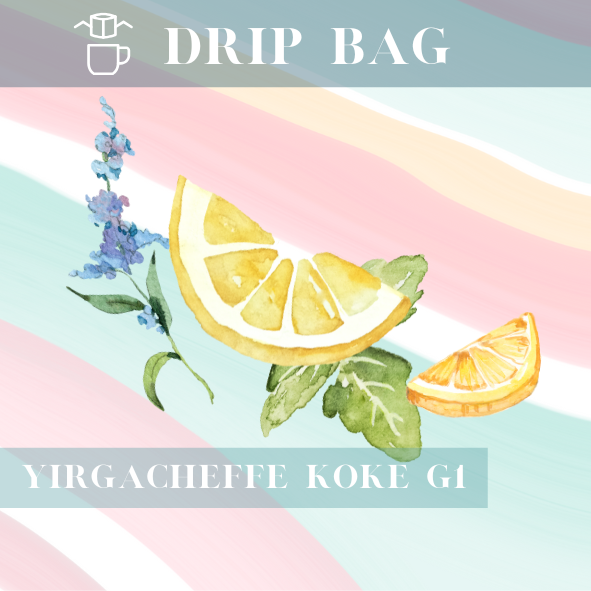 檸香琥珀｜濾掛｜10包入