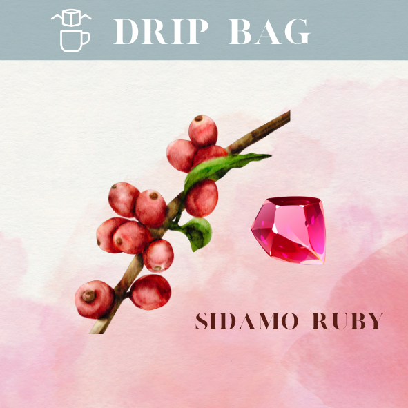 紅寶石｜濾掛｜10包入