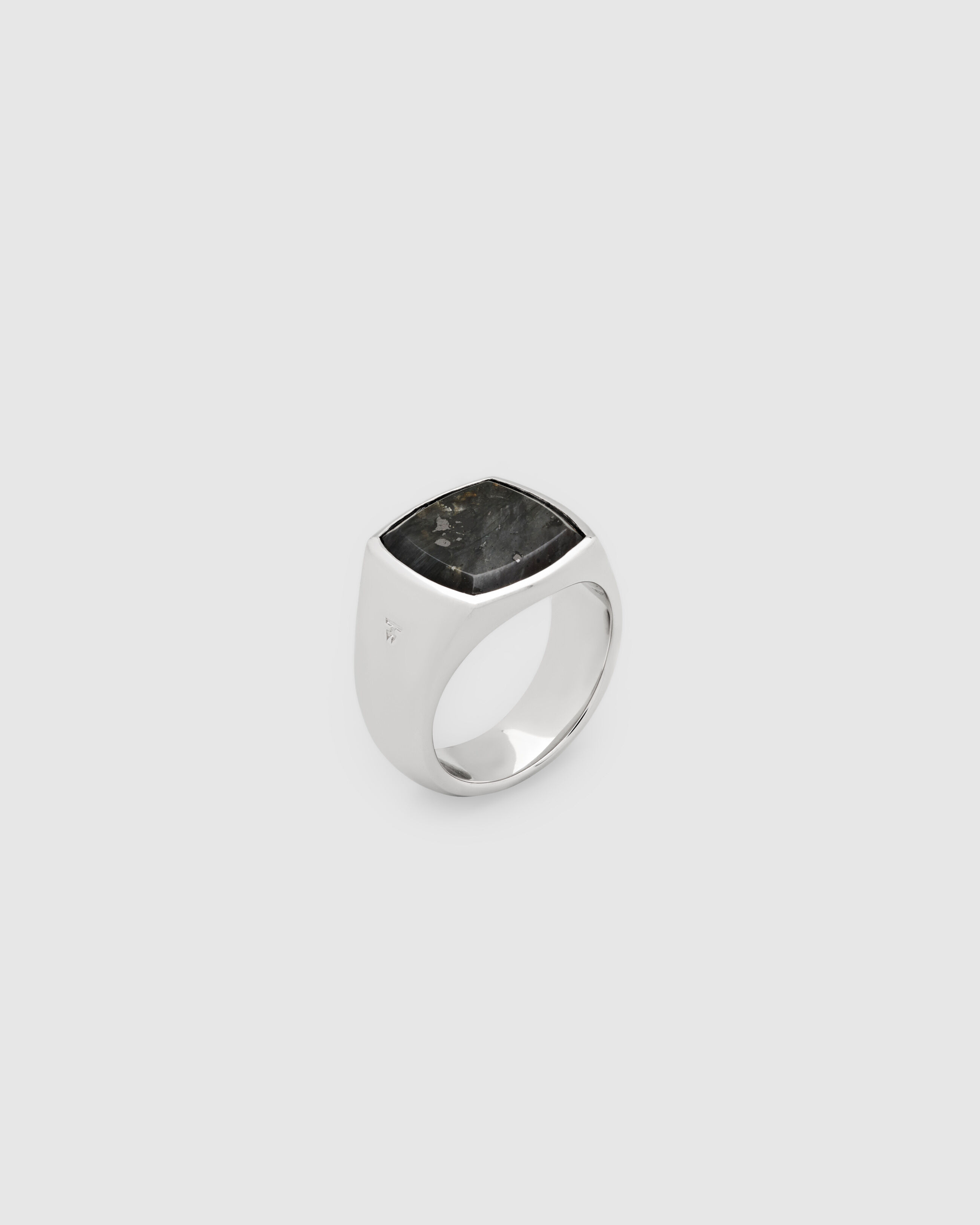 Tom Wood｜Cushion Black Larvikite