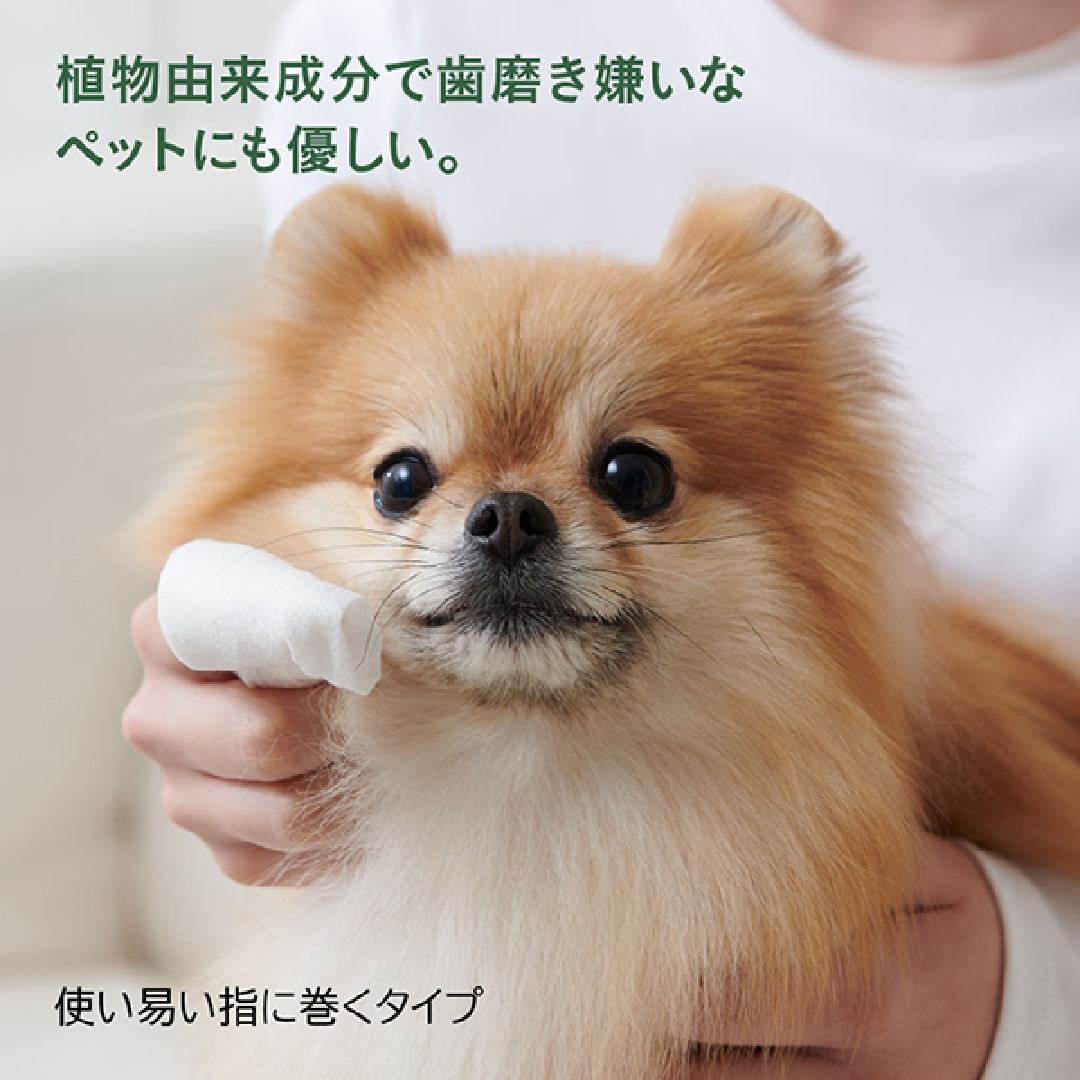 Bonbi - 植物潔牙紙 20片