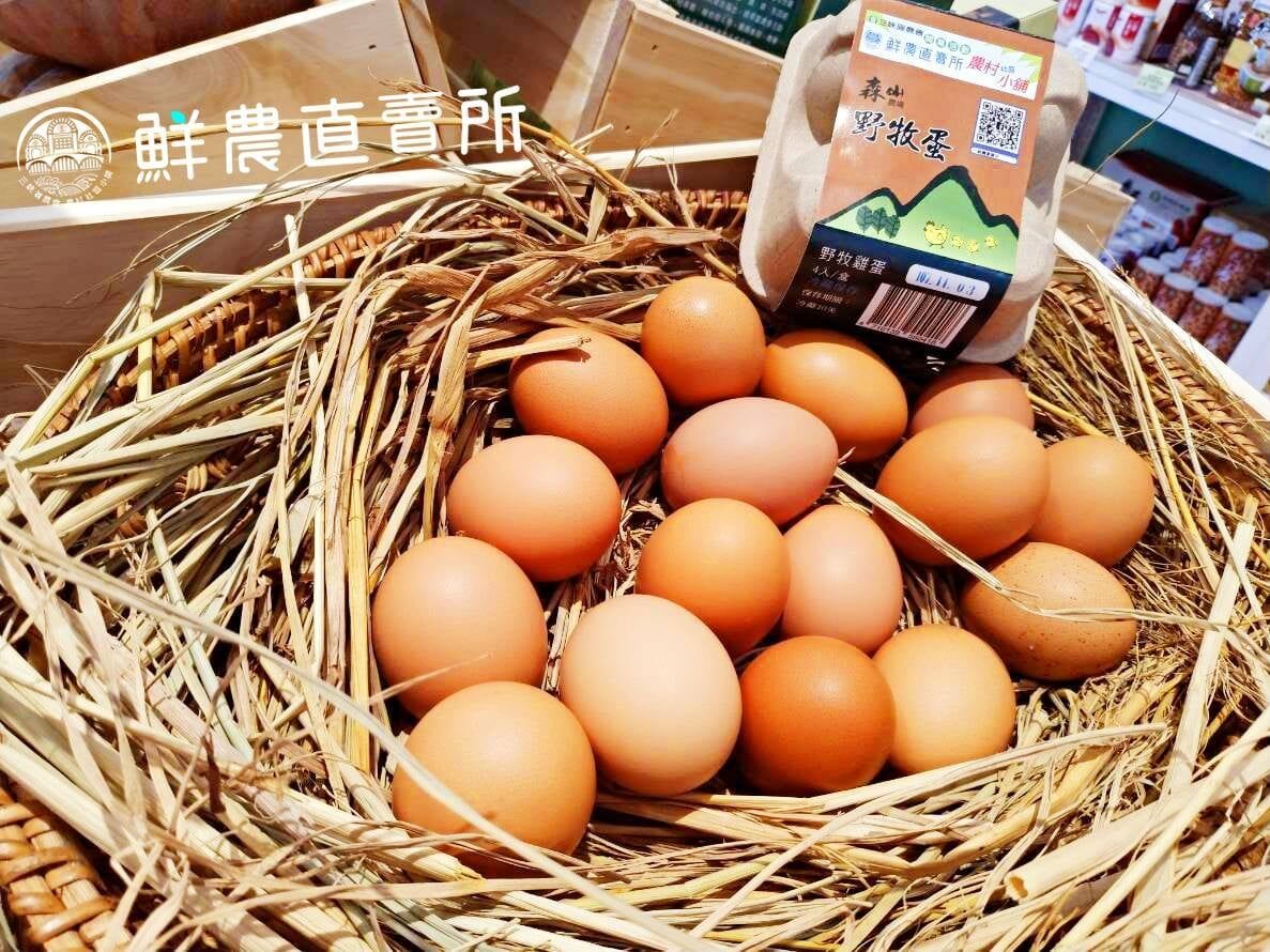 預購【03月12日(四)到貨】💮森山野牧雞蛋【27 入 / 盒】