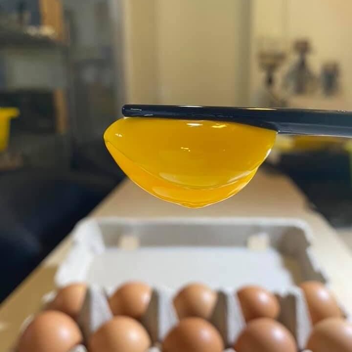 預購【03月12日(四)到貨】💮森山野牧雞蛋【27 入 / 盒】