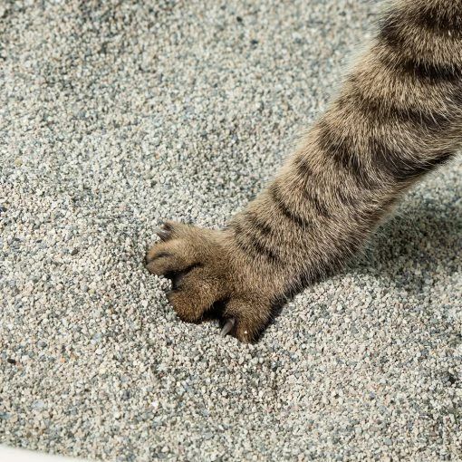 怪獸部落｜費洛蒙礦砂 費洛蒙快樂貓砂