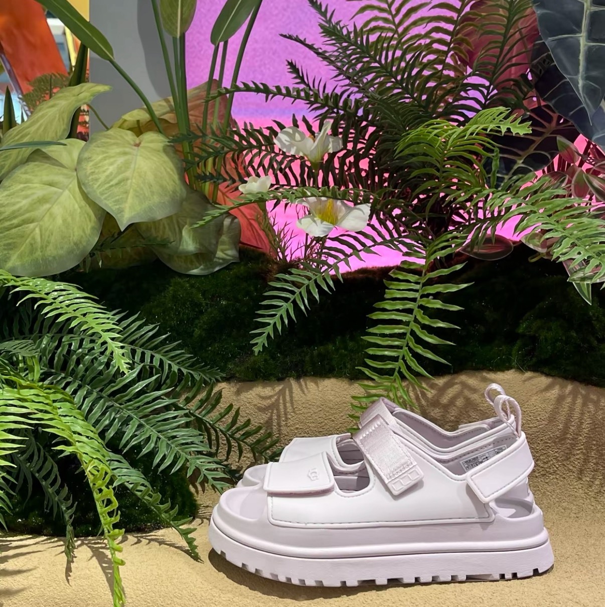 UGG GoldenGlow 粉色 一字帶厚底涼鞋 女款 厚底拖鞋 露趾涼鞋 百搭增高鞋 舒適防滑 懶人鞋 約會鞋 氣質穿搭