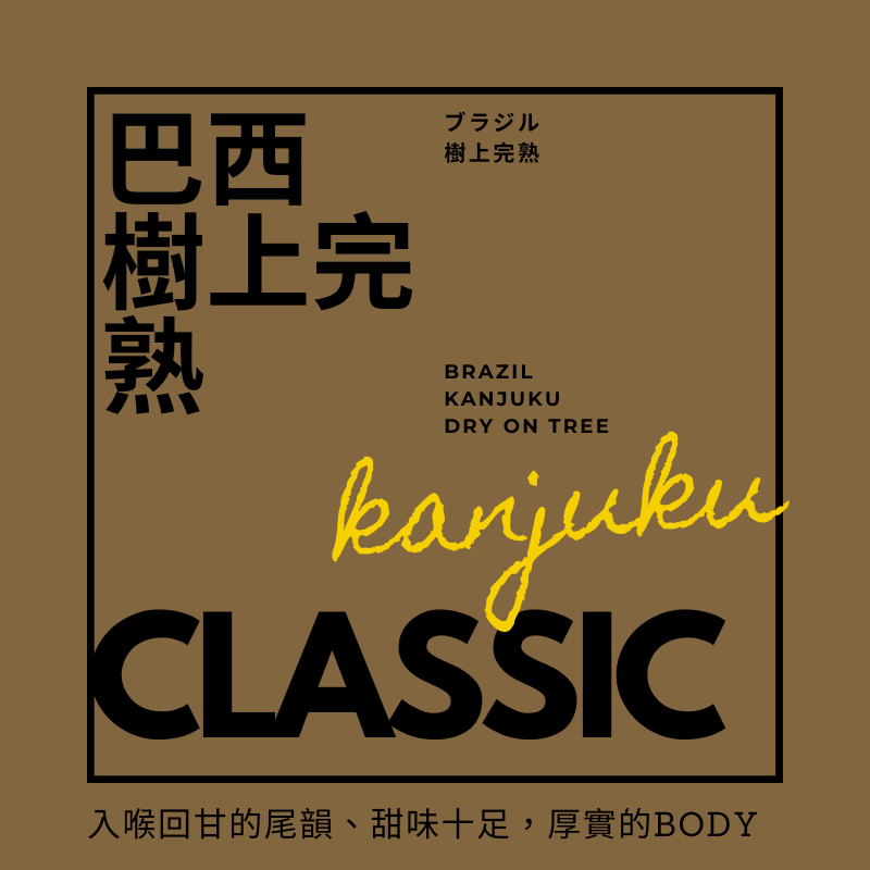 中深焙】巴西樹上完熟- 樹上日曬