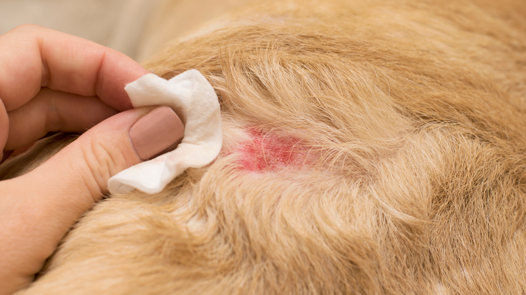 常見錯誤照護方式