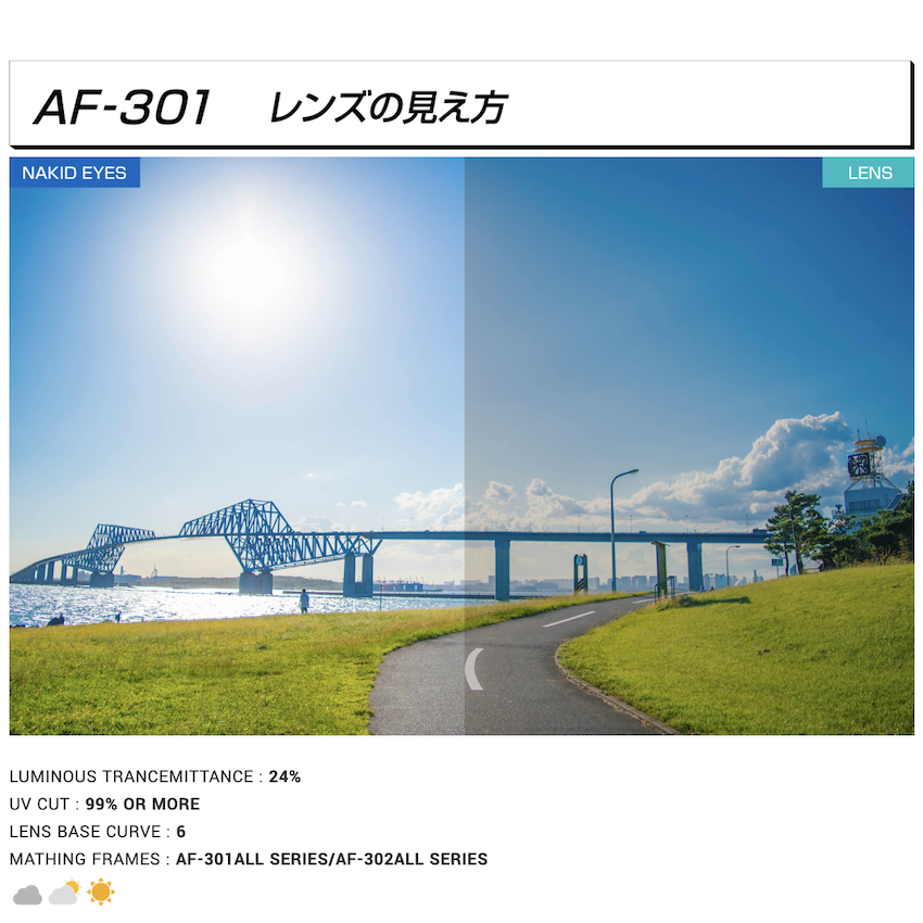 日本製 AirFly AF-301 C-2 運動太陽眼鏡備用鏡片