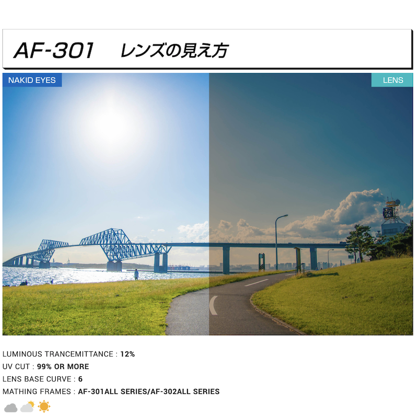 日本製 AirFly AF-301 C-4 運動太陽眼鏡備用鏡片