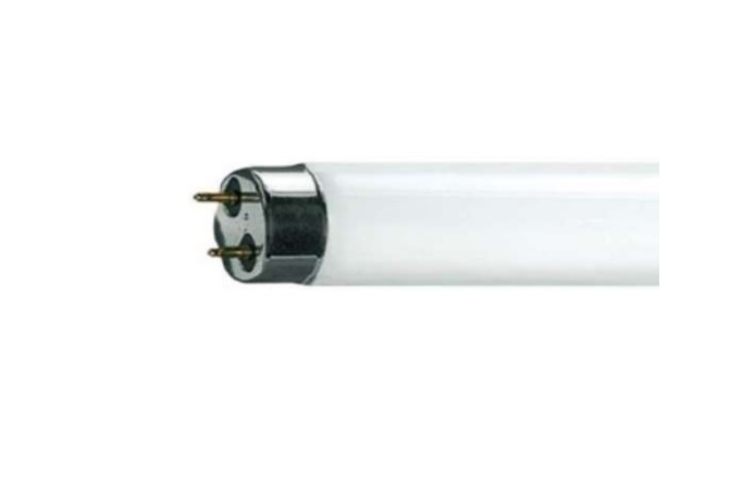 CROMPTON CF8/T8/600MM/LED/840 8W 600MM T8 LED TUBE (AC/CCG TYPE) 雙端