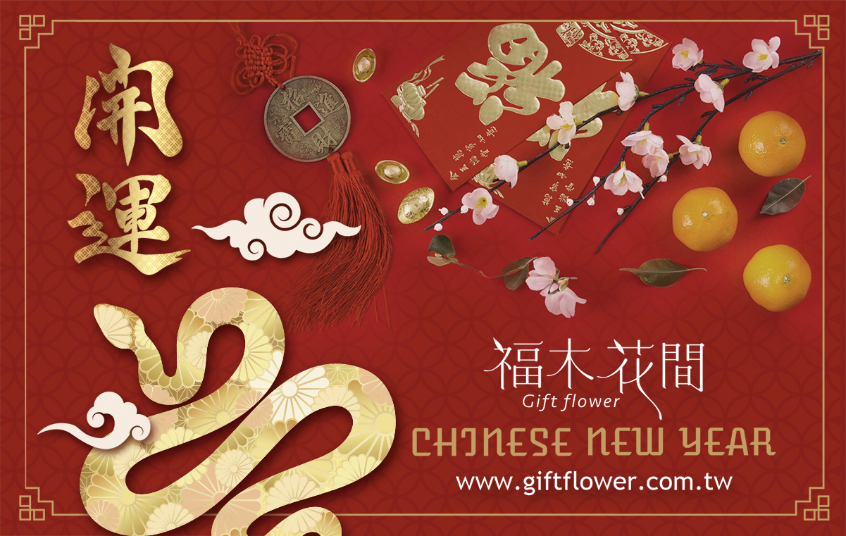 春節蝴蝶蘭盆栽