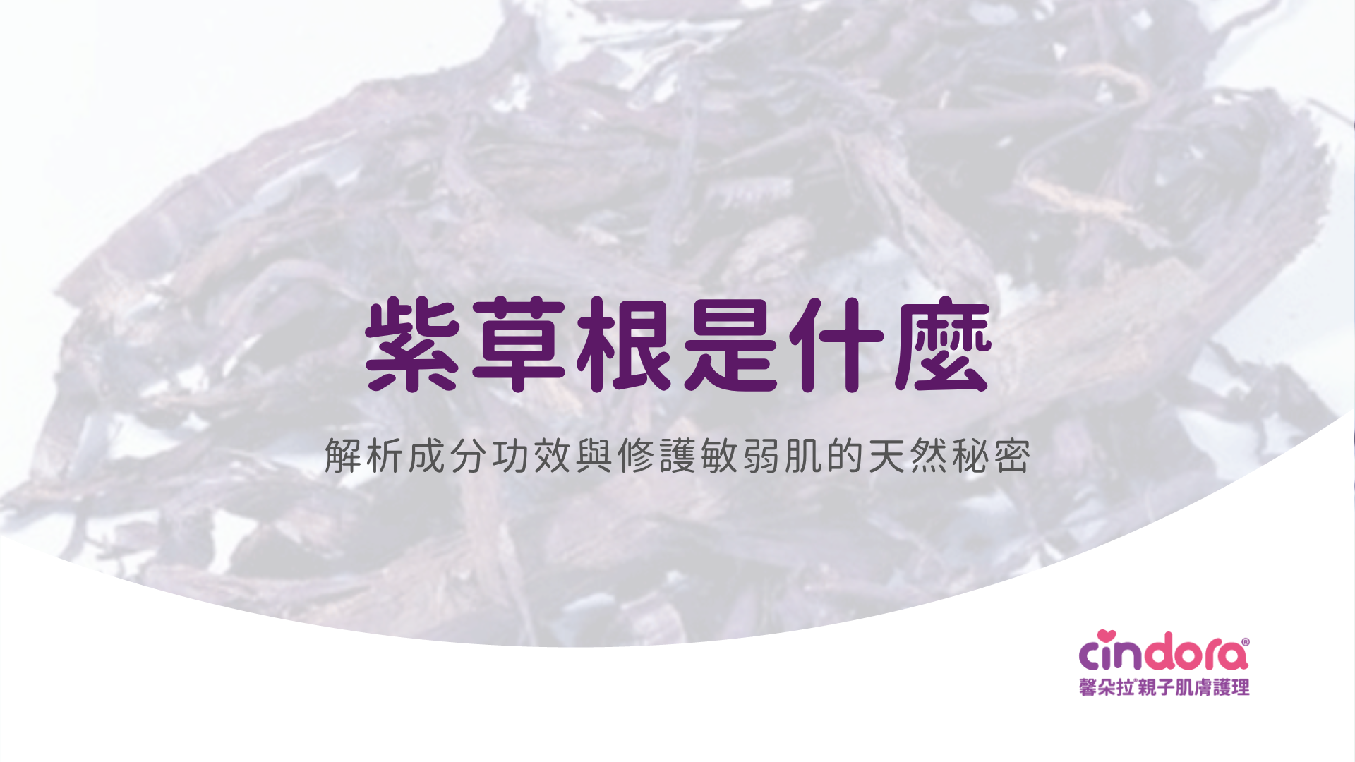 紫草根功效