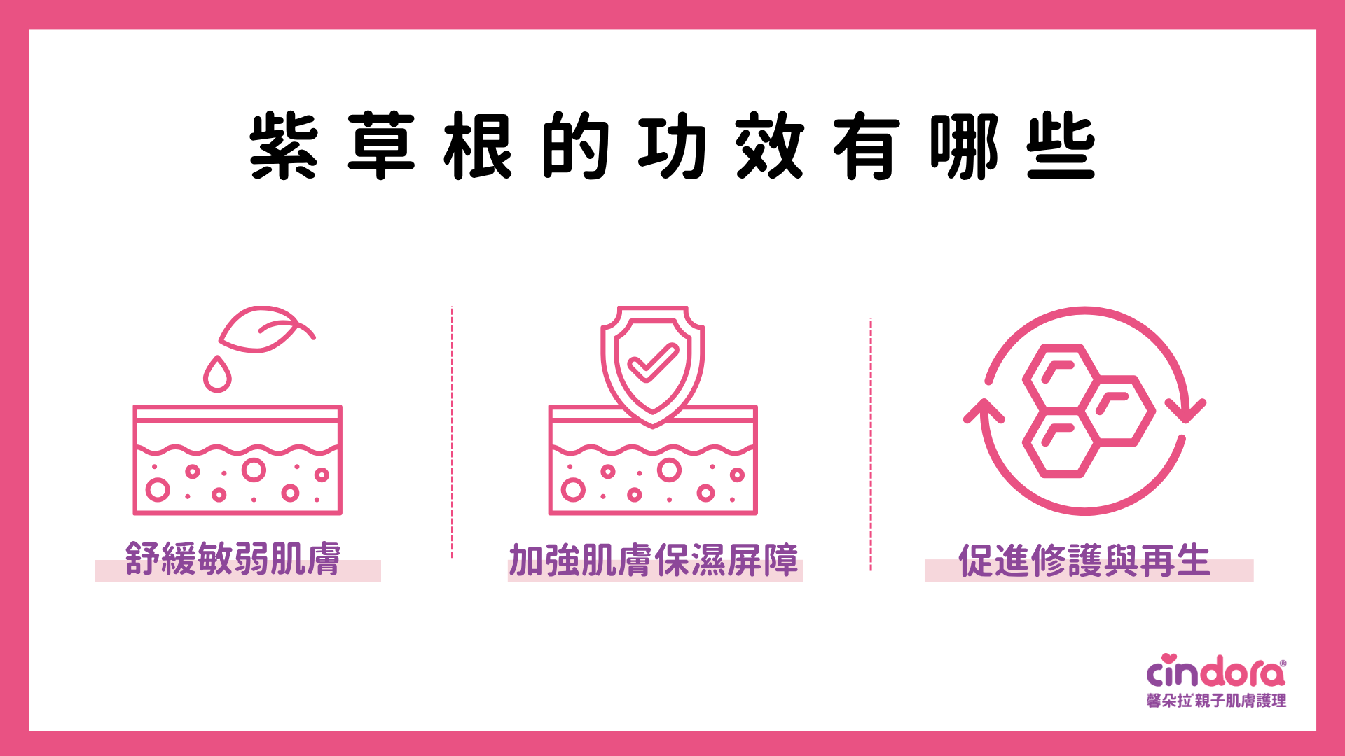紫草根功效