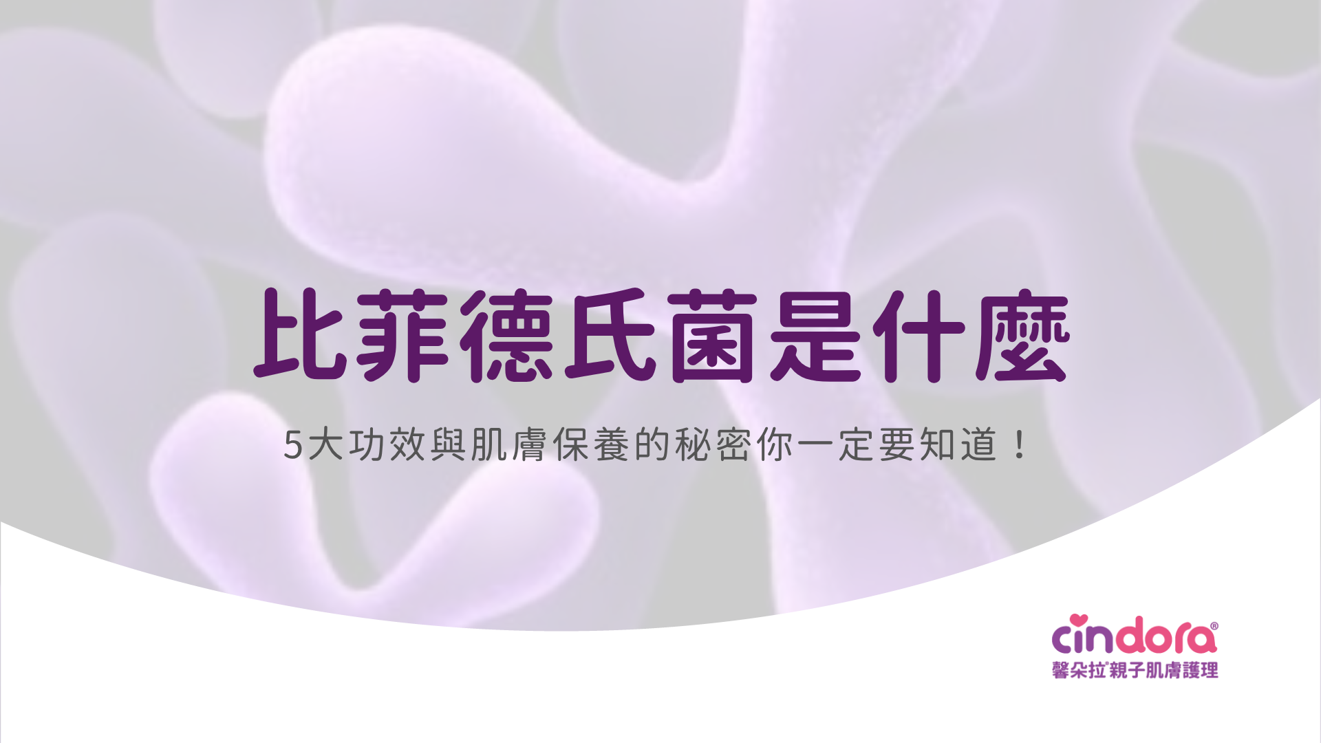 比菲德氏菌
