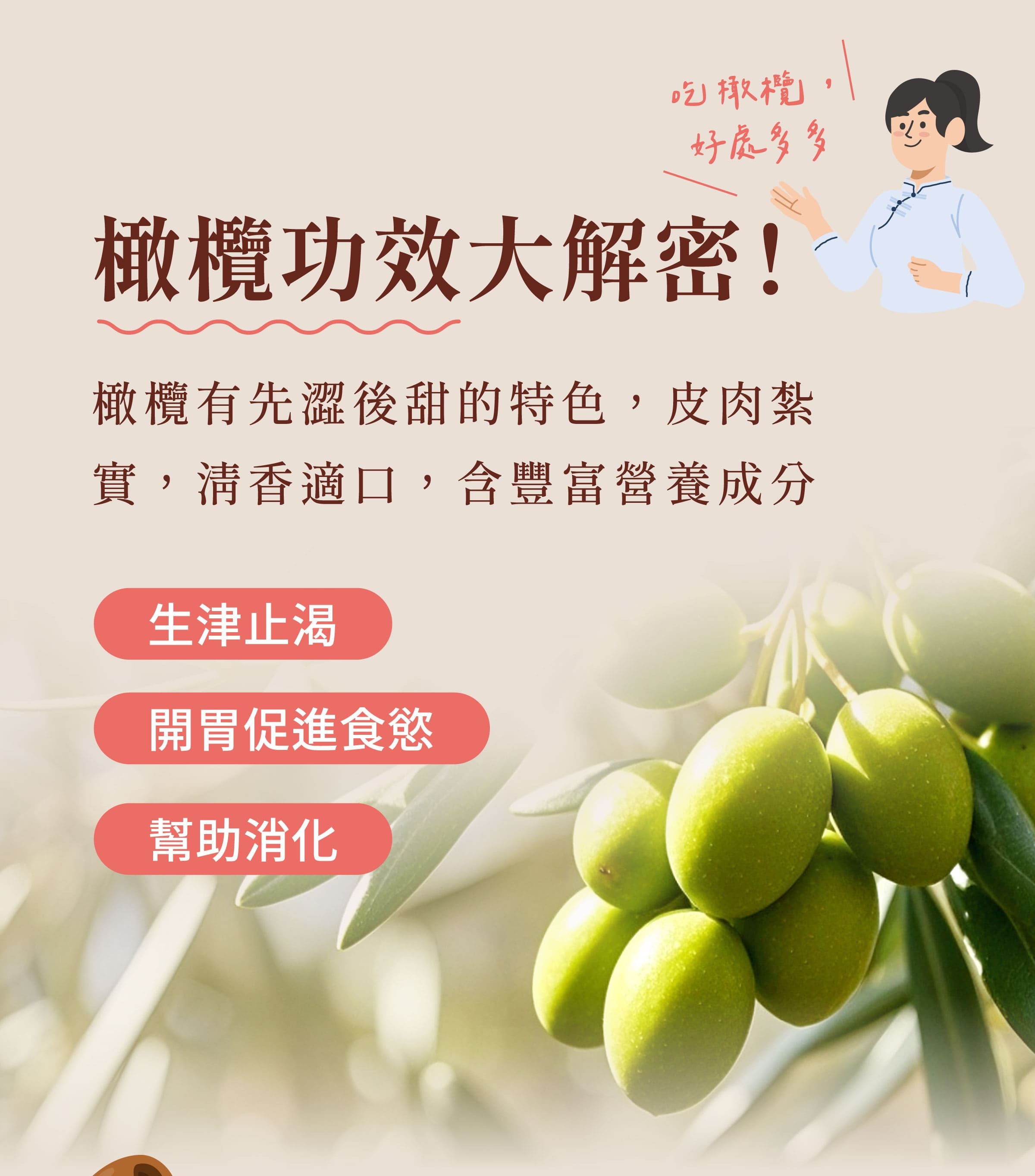 登義梅子酵素橄欖原料橄欖的功效