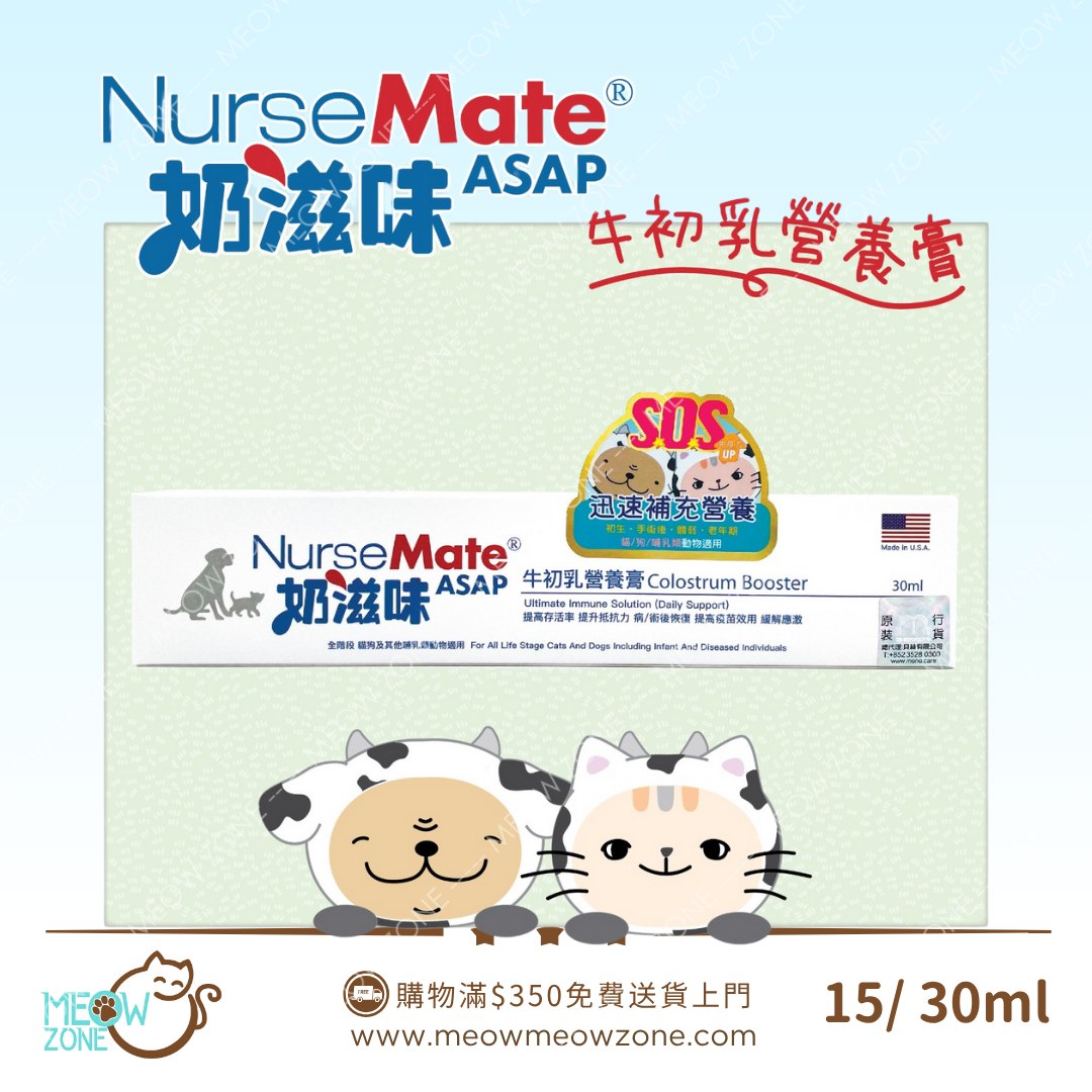 🔥 今期至抵 🔥NurseMate 奶滋味 - 牛初乳營養膏 30ml