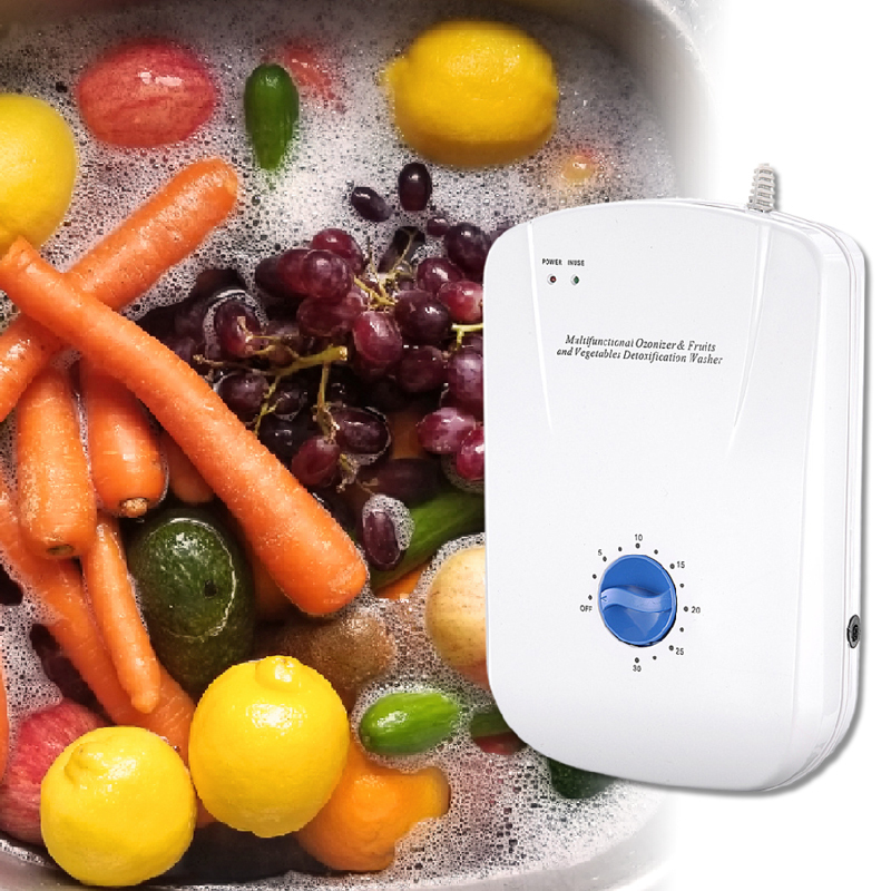 日本TSK 多功能蔬果淨化器 活氧機 臭氧機 瓜果蔬菜機 P4028