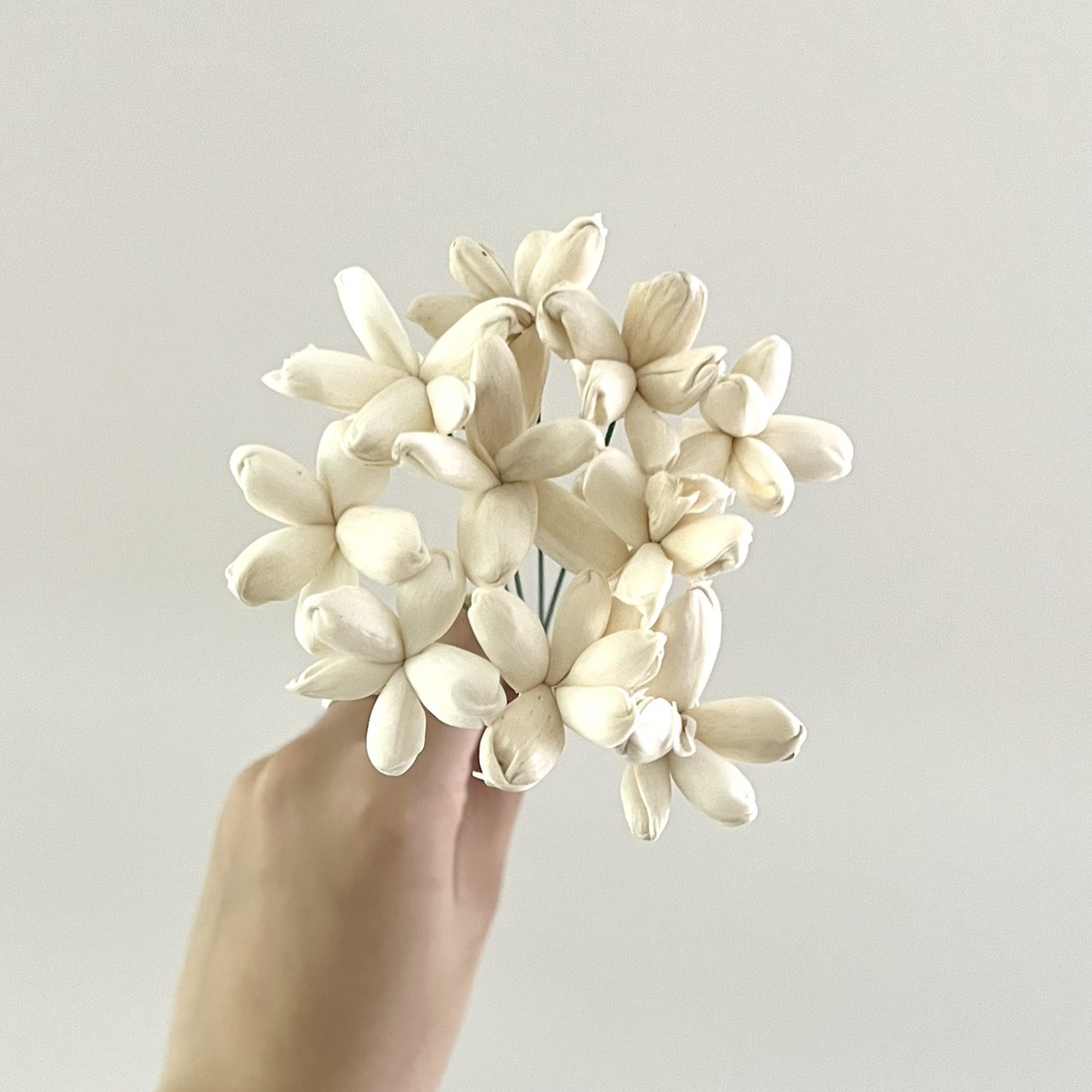 越南索拉花 茉莉花 3CM<十支一把>