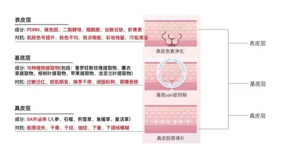 (3305)【多件優惠】DERMASTEM外泌體水光面膜一盒五片