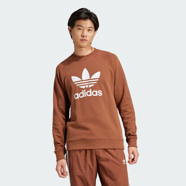 Adidas Trefoil Crew IZ2357 男 長袖 上衣 衛衣 運動 經典 三葉草 休閒 棉質 棕