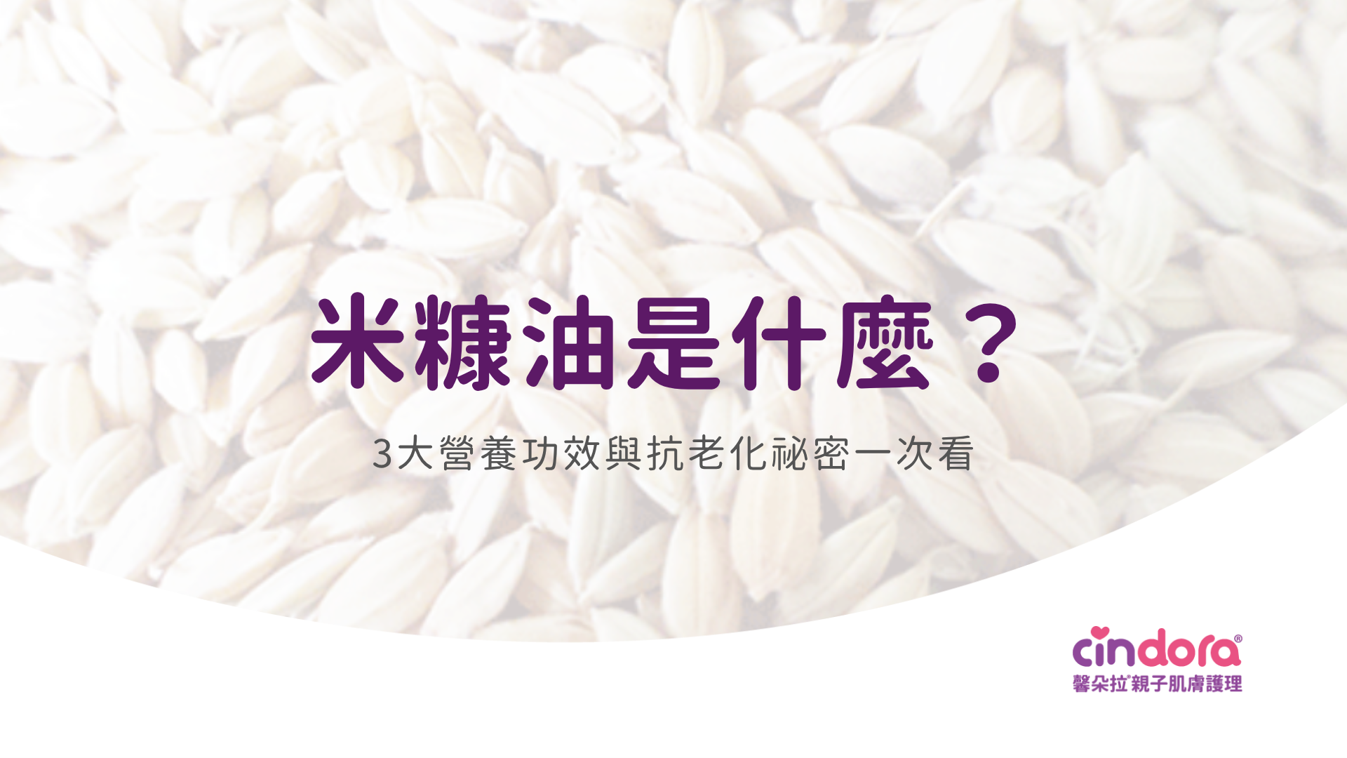 米糠油是什麼？3大營養功效與抗老化祕密一次看