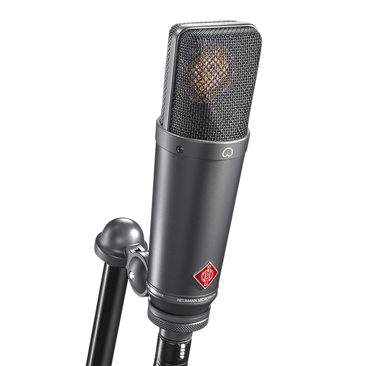 Neumann TLM 193