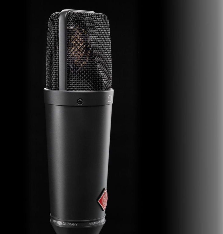Neumann TLM 193