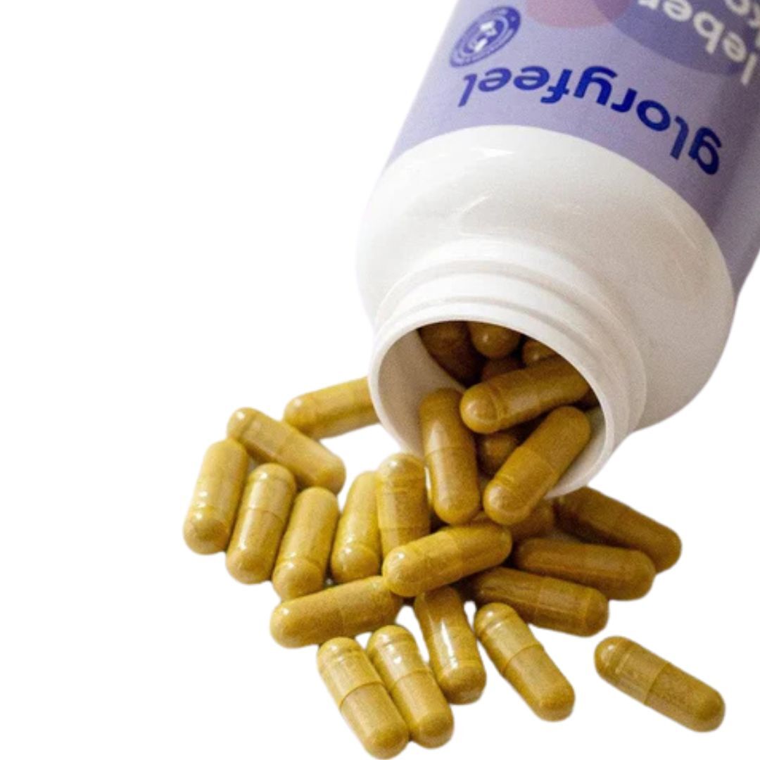 Gloryfeel 純素水飛薊朝鮮薊護肝配方120粒