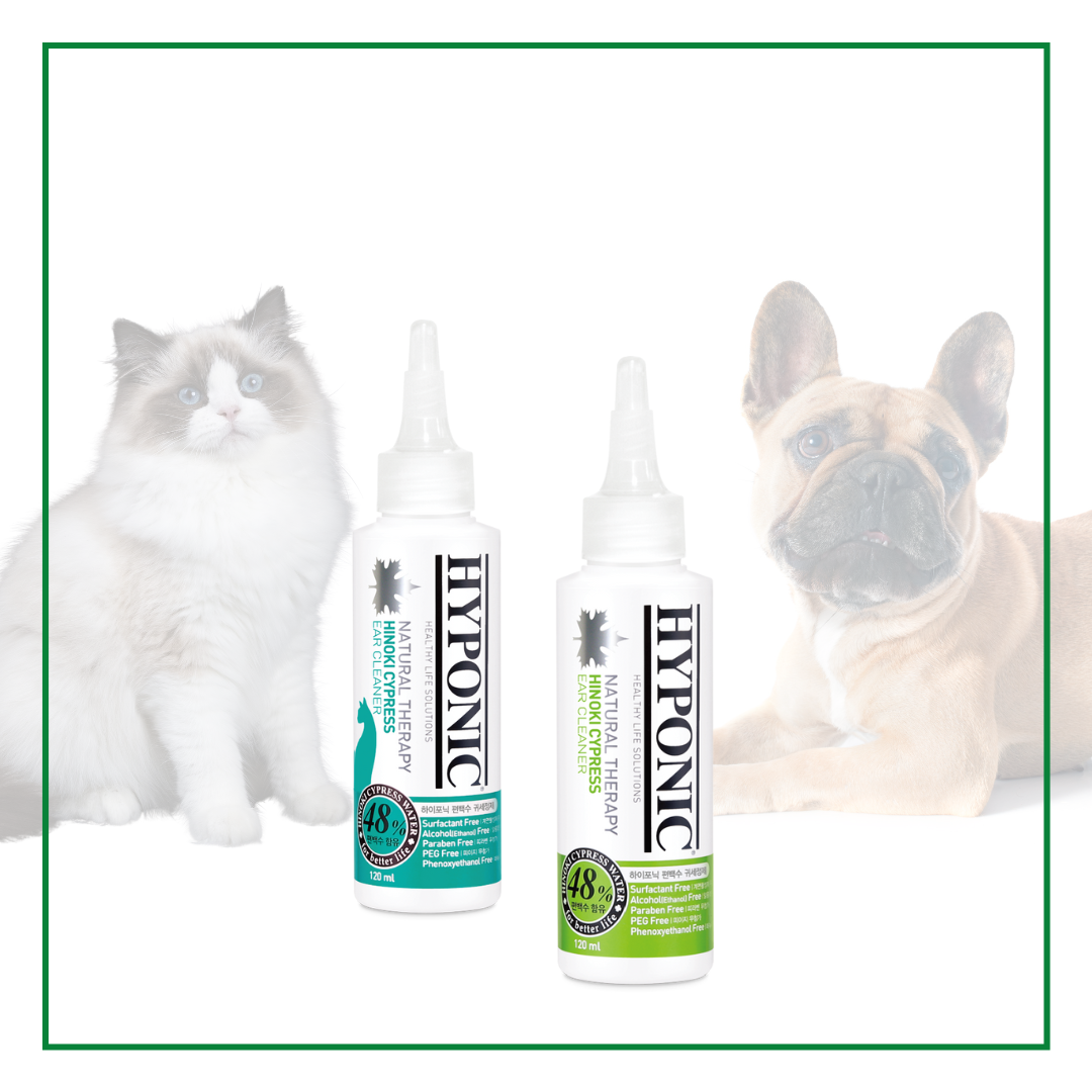 HYPONIC 極致低敏扁柏洗耳水