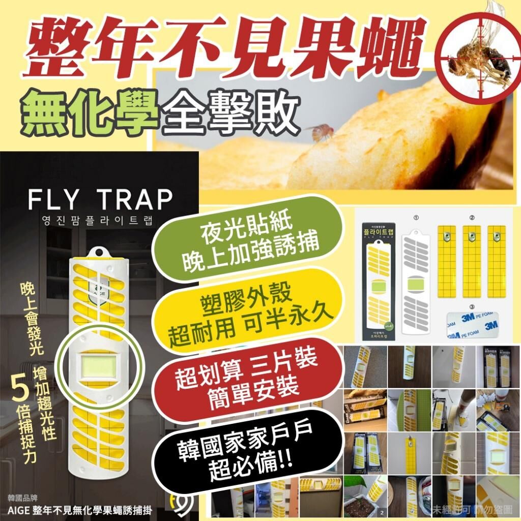 韓國 AIGE 整年不見無化學果蠅誘捕掛