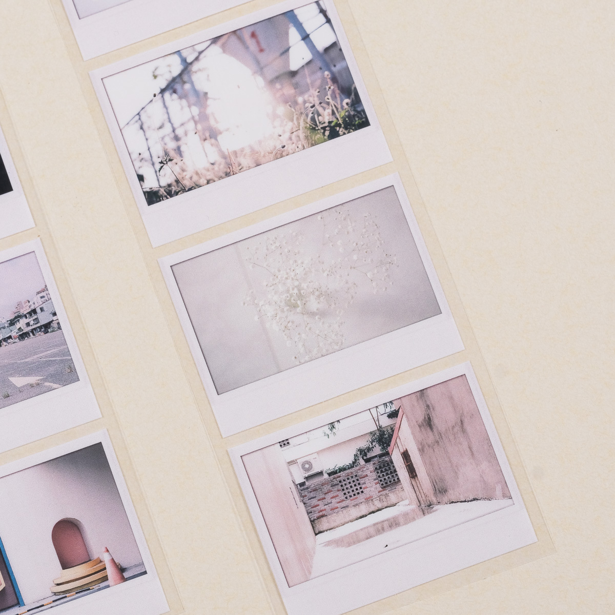 Take a picture VOL.04 pet /一分之一工作室/台灣