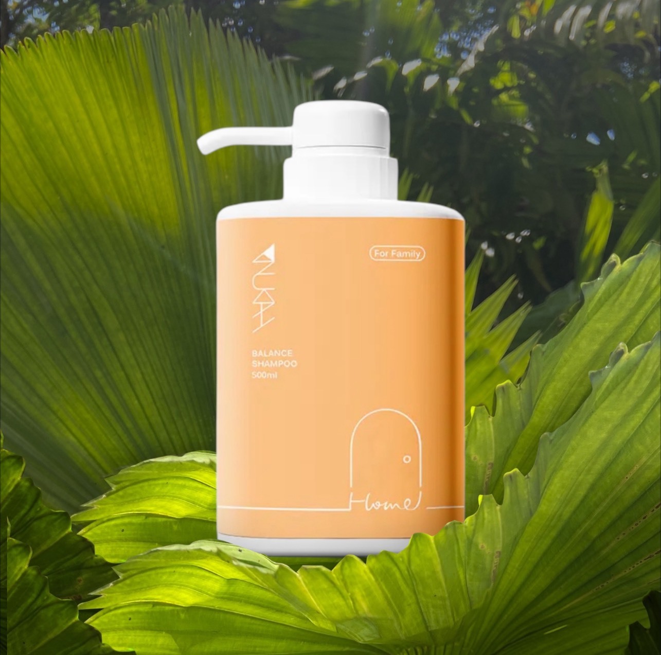 家．蘆薈平衡洗髮精 500ml