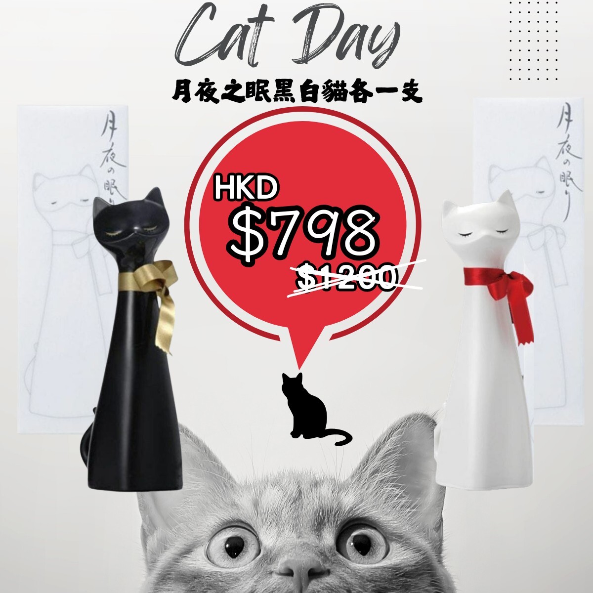 喵喵喵-月夜の眠組合