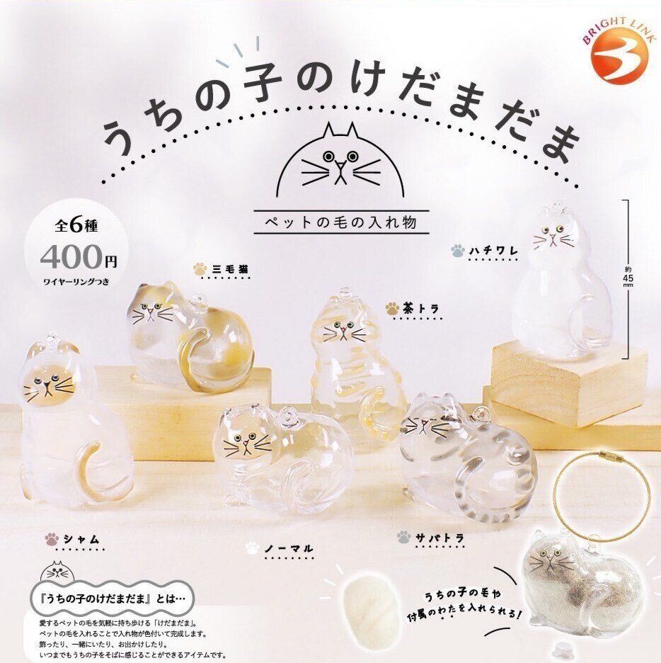 【現貨】透明貓毛儲存盒掛飾扭蛋(全6種)