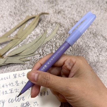 Pentel 飛龍 筆文字 簽字筆 灰色