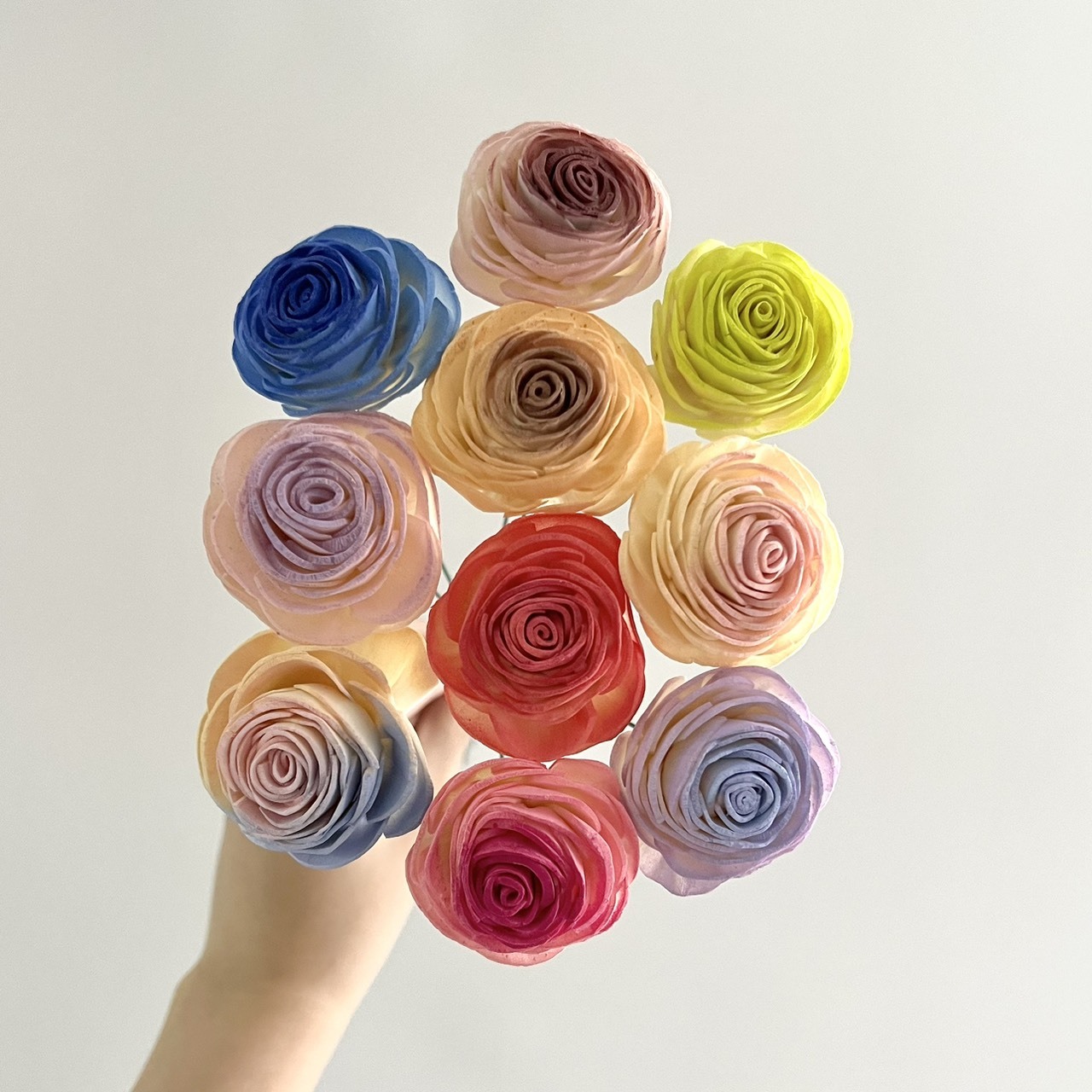 越南索拉花 大美眉 3CM<十支一把>