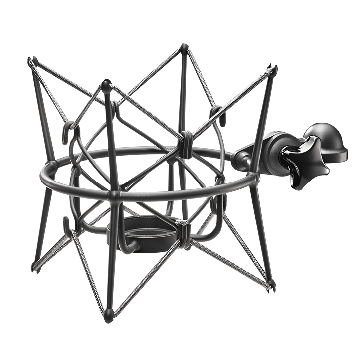 Neumann Shock Mount  EA 170 mt