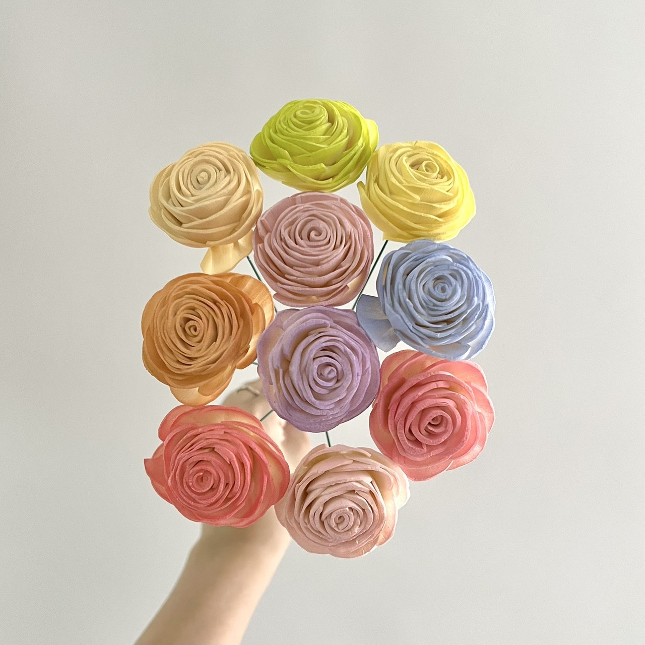 越南索拉花 大美眉 4CM<十支一把>