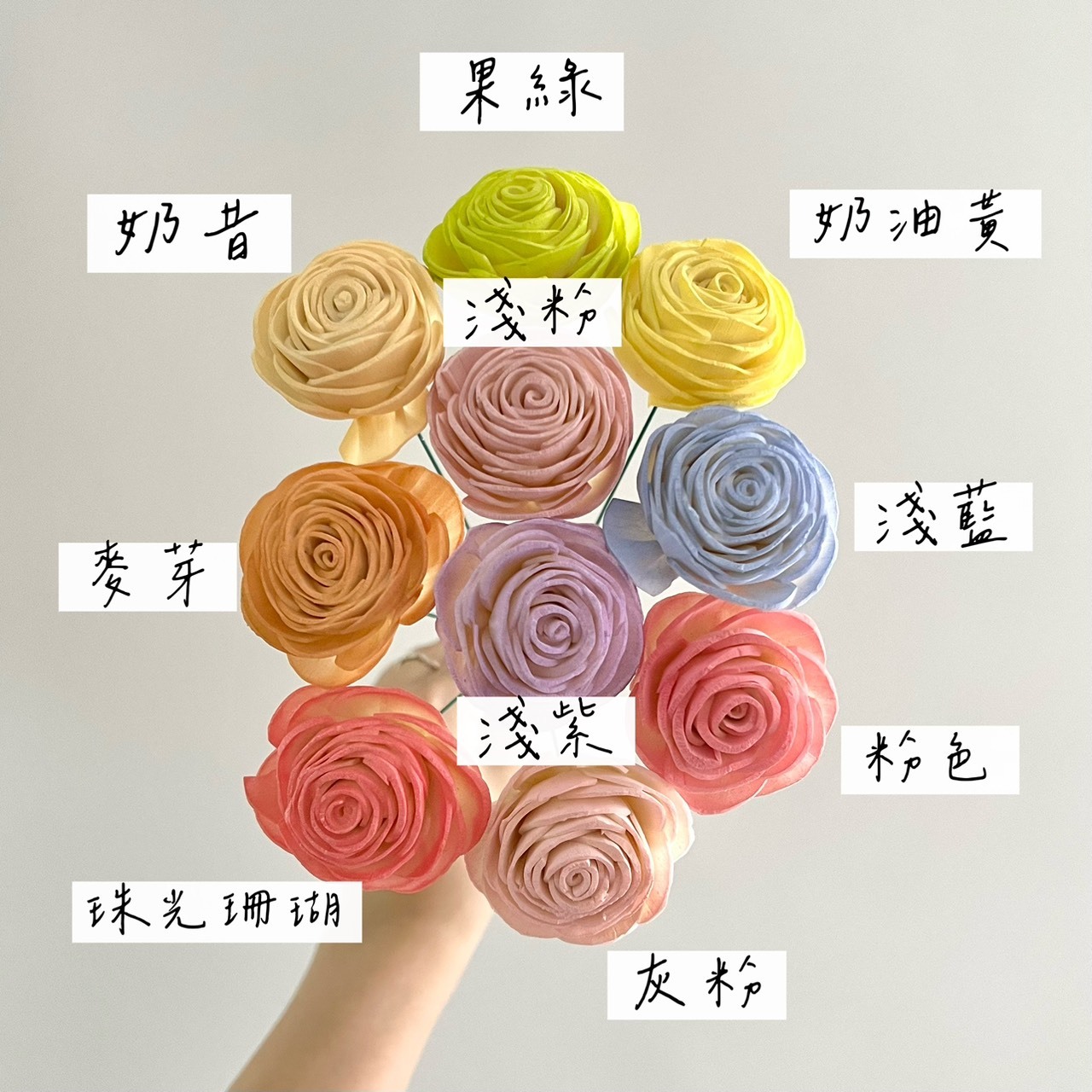 越南索拉花 大美眉 4CM<十支一把>