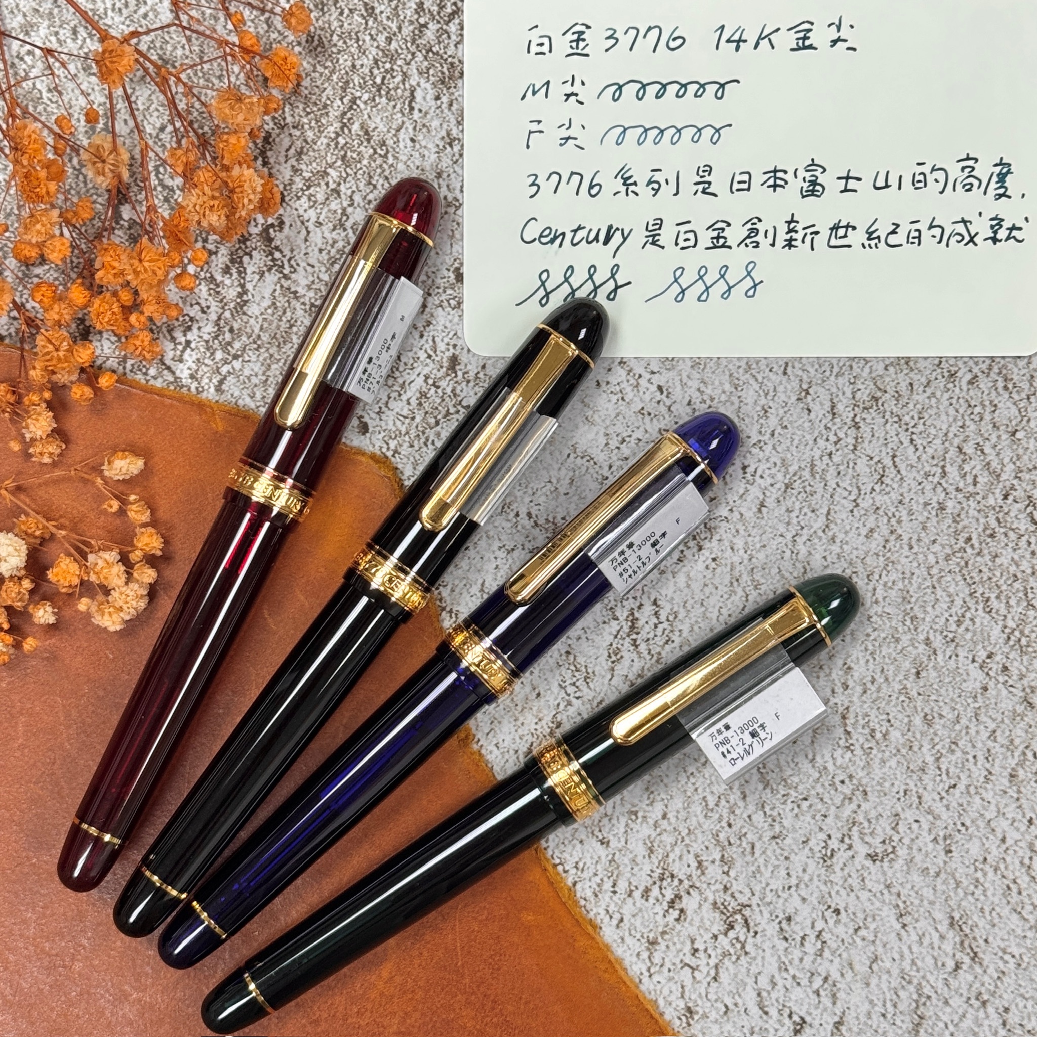 白金 Platinum ｜ 3776 世紀鋼筆 14K金