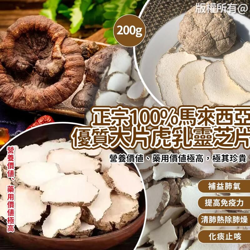 正宗100%馬來西亞優質大片虎乳靈芝片