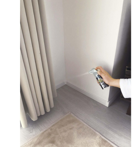 日本 Fumakilla 居家防蟻噴霧 60回