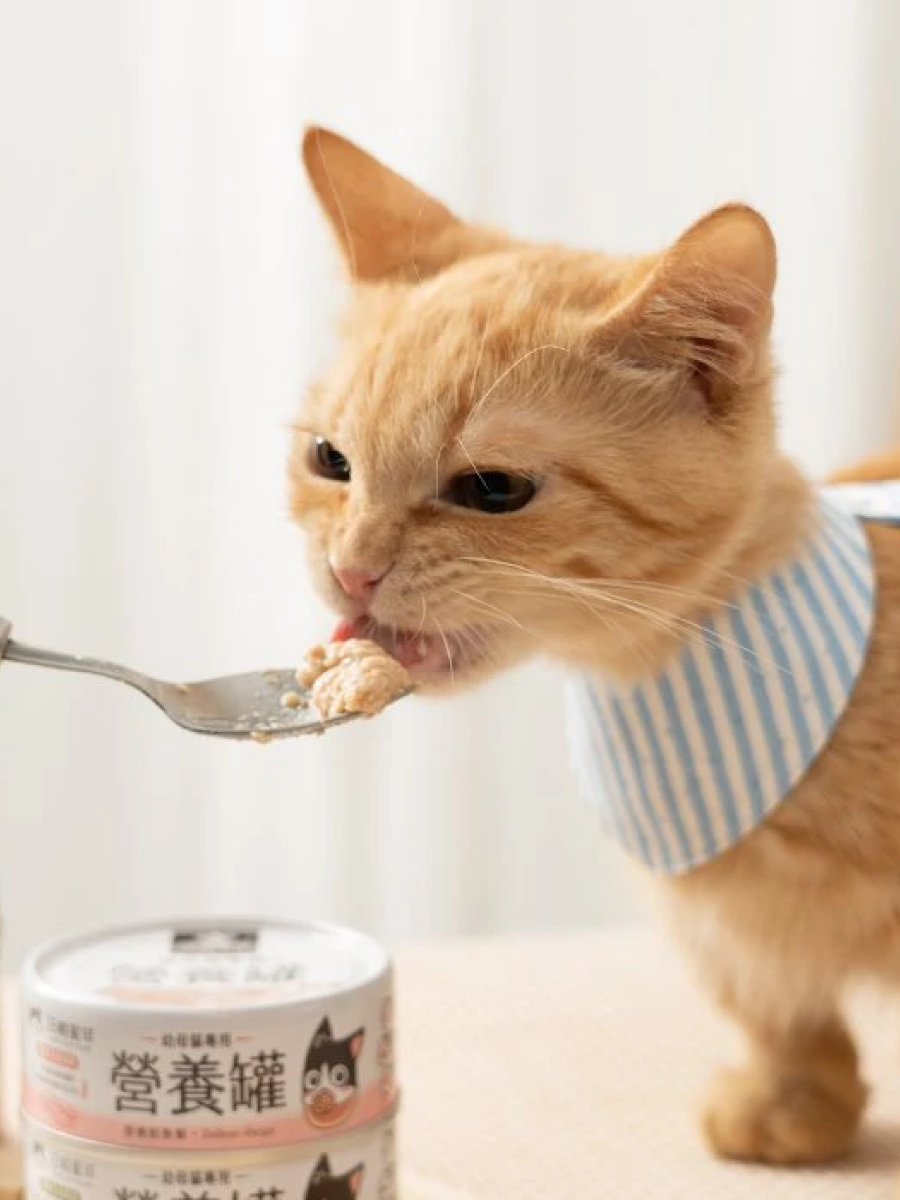 【汪喵星球】幼母貓98% 營養無膠主食罐｜鮮嫩雞肉